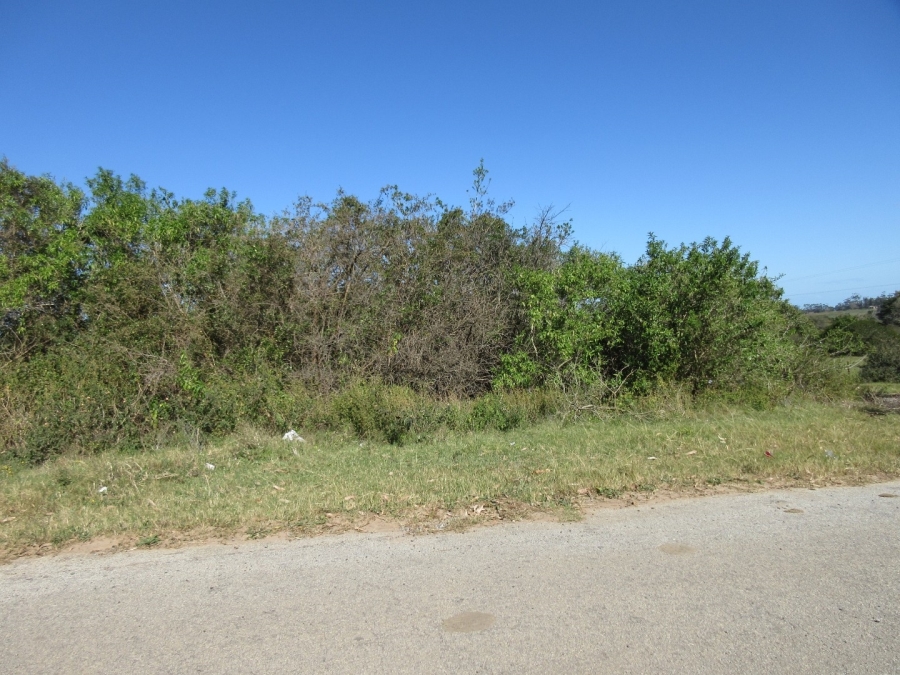 0 Bedroom Property for Sale in Bathurst Eastern Cape